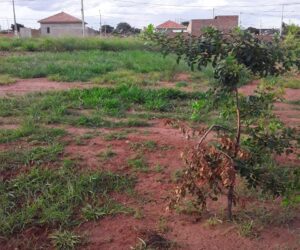 Terreno para venda