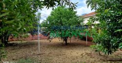 Casa para Venda